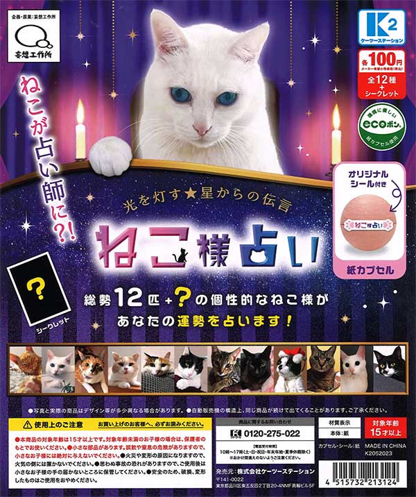 ねこ様せ専用ページ ネコ様 専用 ごはん 様 専用ページ 猫。さま
