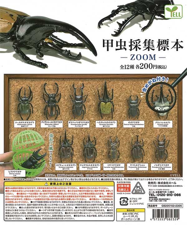 甲虫採集標本～ZOOM～　（50個入り）