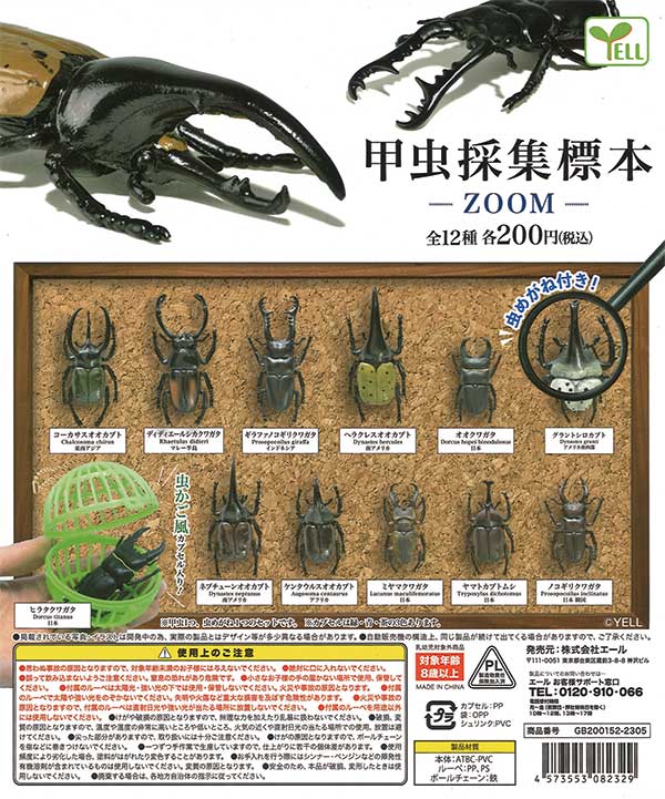 甲虫採集標本~ZOOM~ (50個入り) | ガチャガチャ・カプセル 甲虫採集標本~ZOOM~ (50個入り) | ガチャガチャ・カプセル