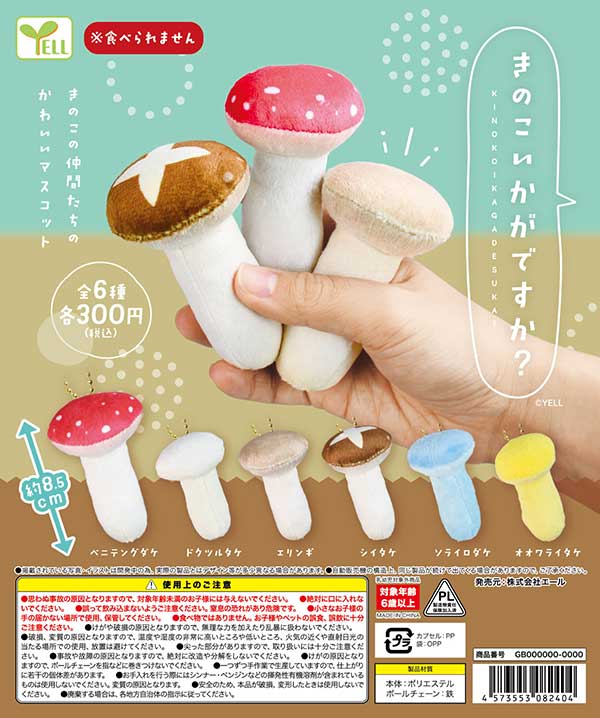 【Y05】きのこいかがですか？　（40個入り）【予約商品】