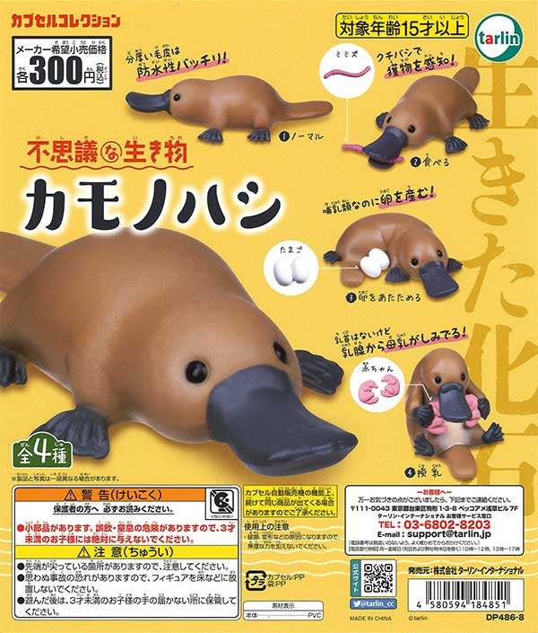 不思議な生き物 カモノハシ （40個入り） | ガチャガチャ・カプセル