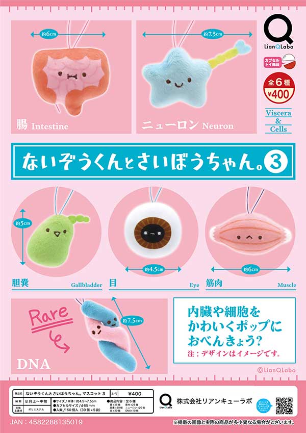 【Z08】ないぞうくんとさいぼうちゃん。3　（30個入り）【予約商品】