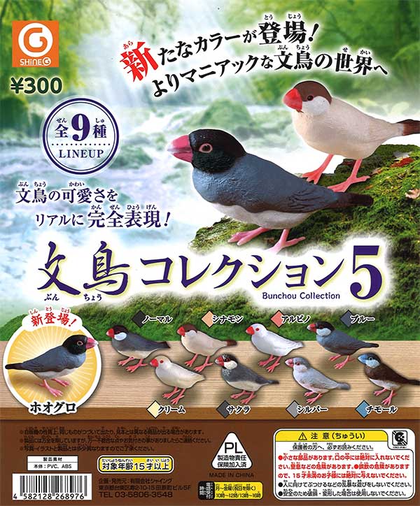 文鳥コレクション5 （40個入り） | ガチャガチャ通販専門【あミューズ】