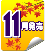Z11】木製温泉ダイカットキーホルダー （40個入り）【予約商品