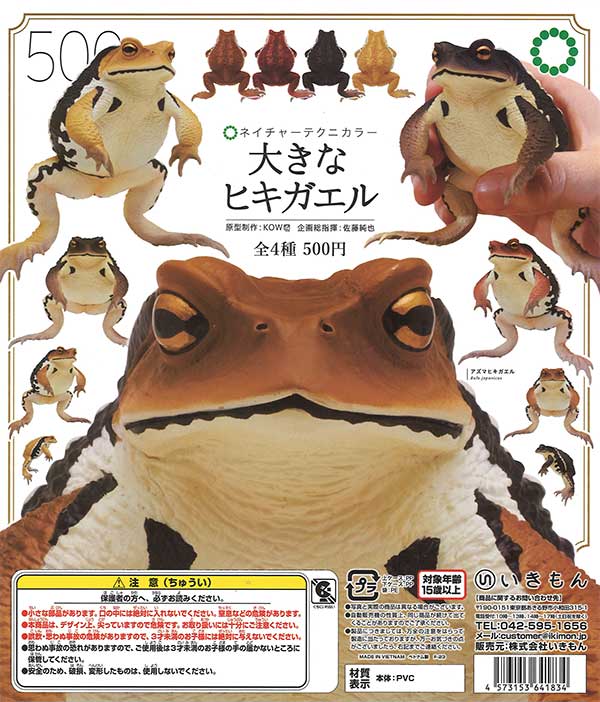 マユリカ きくゆめCD 写真集 ビキニアクスタ 生写真カエル付 再販》NTC 大きなヒキガエル （20個入り） | ガチャガチャ通販専門【あ