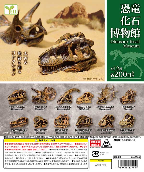【Y05】《5月再販》恐竜化石博物館　（50個入り）【二次予約商品】