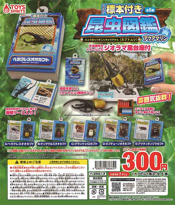 ミニチュア標本付き昆虫図鑑 カブトムシ アクアマリン （40個入り