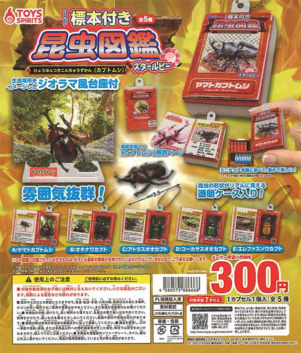 ミニチュア標本付き昆虫図鑑 カブトムシ スタールビー （40個入り