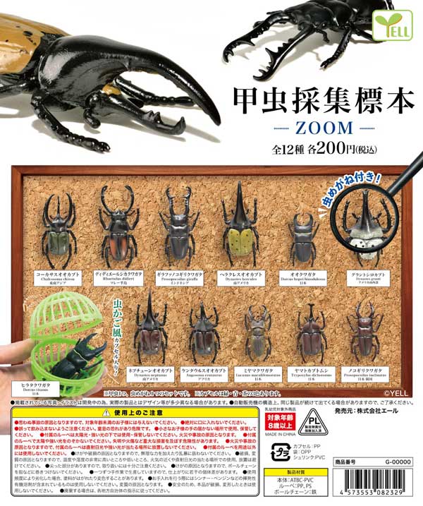 【Y06】《6月再販》甲虫採集標本～ZOOM～　（50個入り）【二次予約商品】