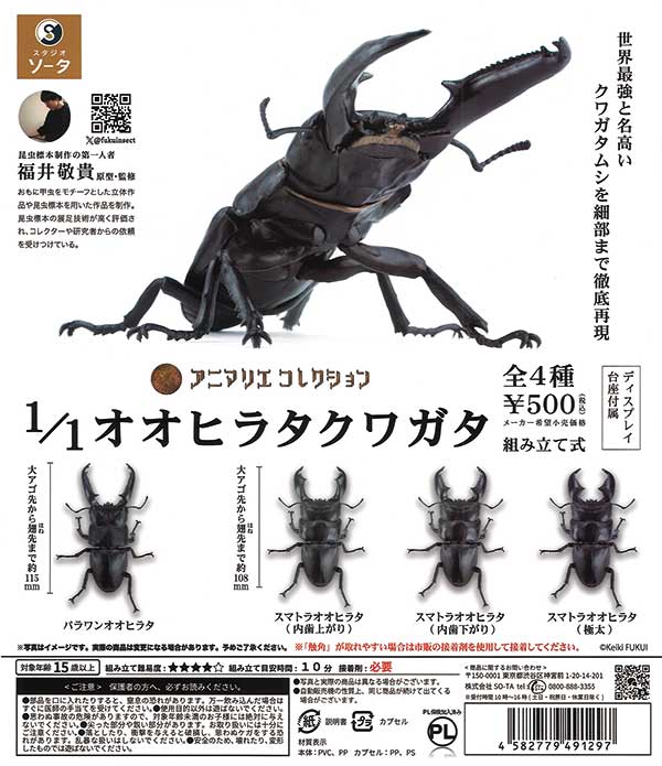 1/1オオヒラタクワガタ （20個入り） | ガチャガチャ通販専門【あ