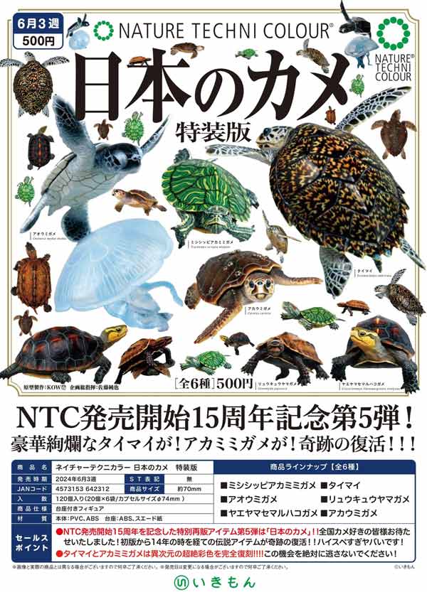 【Z06】NTC 日本のカメ 特装版　（20個入り）【二次予約商品】