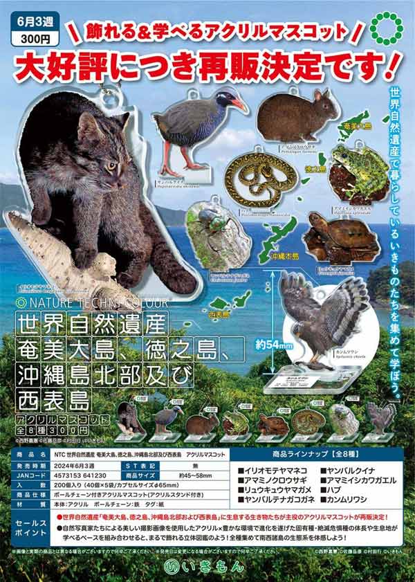 【Z06】《6月再販》NTC 世界自然遺産 奄美大島、徳之島、沖縄島北部及び 西表島 アクリルマスコット　（40個入り）【二次予約商品】