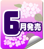 【E06】《6月再販》JR東日本ドアコレクション　（40個入り）【二次予約商品】