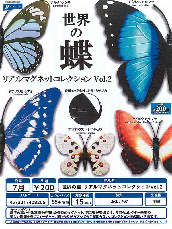 【Z07】世界の蝶 リアルマグネットコレクションVol.2（50個入り）【正規予約商品】