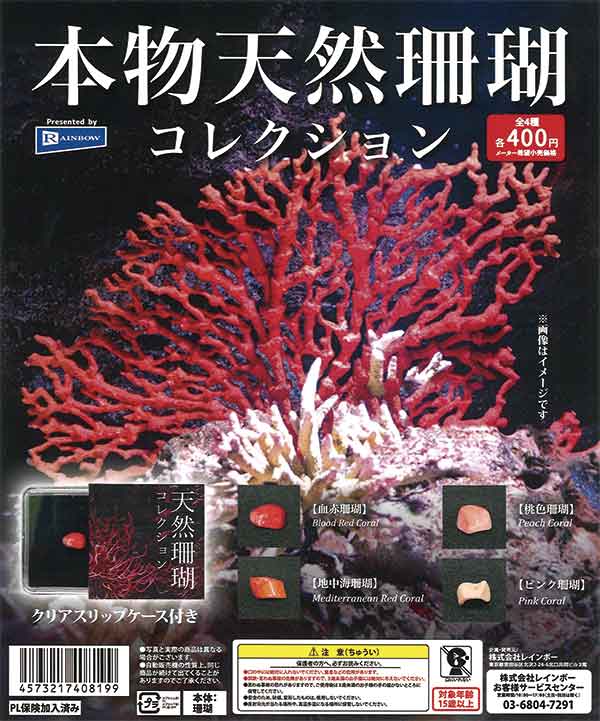 本物天然珊瑚コレクション（30個入り） | ガチャガチャ・カプセルトイ
