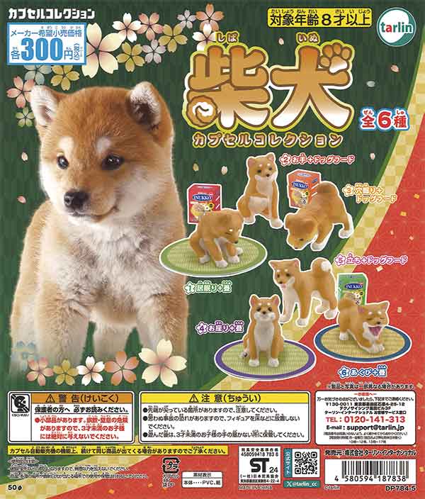 柴犬 カプセルコレクション（40個入り） | ガチャガチャ通販専門【あ