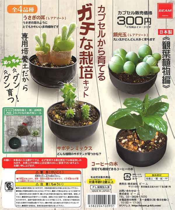 再販》カプセルから育てる ガチな栽培キット 観葉植物編（40個入り