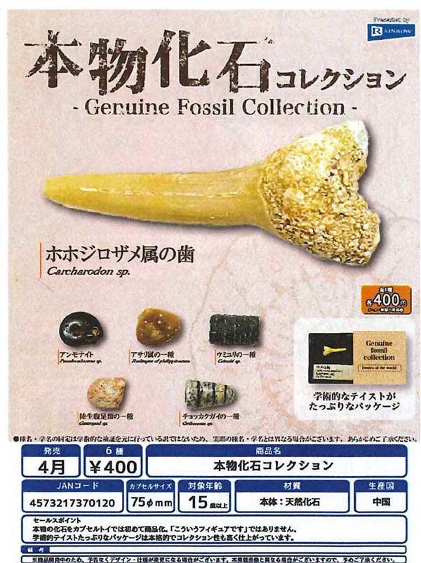 4月発売】【二次予約】本物化石コレクション（30個入り