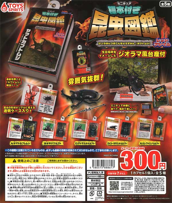 ミニチュア標本付き昆虫図鑑マスコット カブトムシ（40個入り
