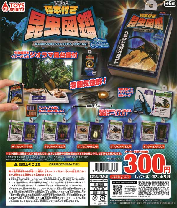 ミニチュア標本付き昆虫図鑑マスコット カブトムシ（40個入り