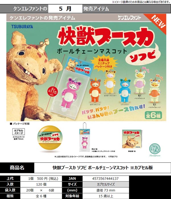 5月発売】【二次予約】ハイキュー！！キャラばんちょうこうヘア