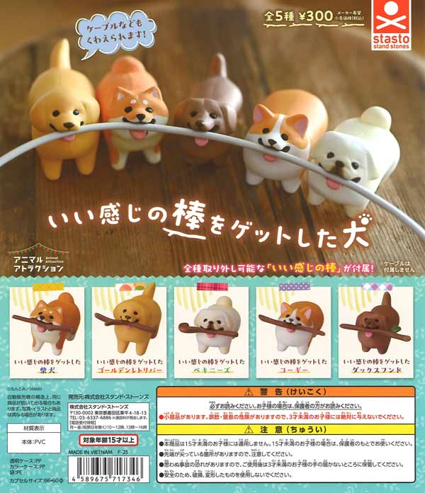 いい感じの棒をゲットした犬（40個入り）【ｽﾀﾝﾄﾞｽﾄｰﾝｽﾞ