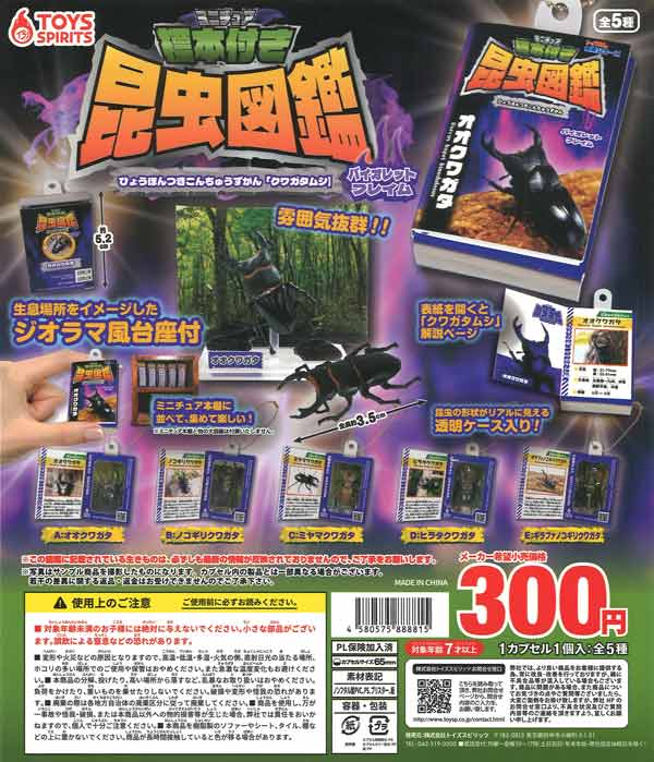 ミニチュア標本付き昆虫図鑑マスコット クワガタムシ バイオレット