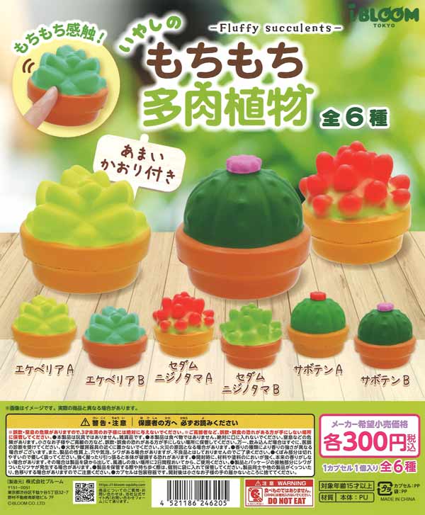 再販》もちもち多肉植物（40個入り）【ﾌﾞﾙｰﾑ】 | ガチャガチャ通販専門