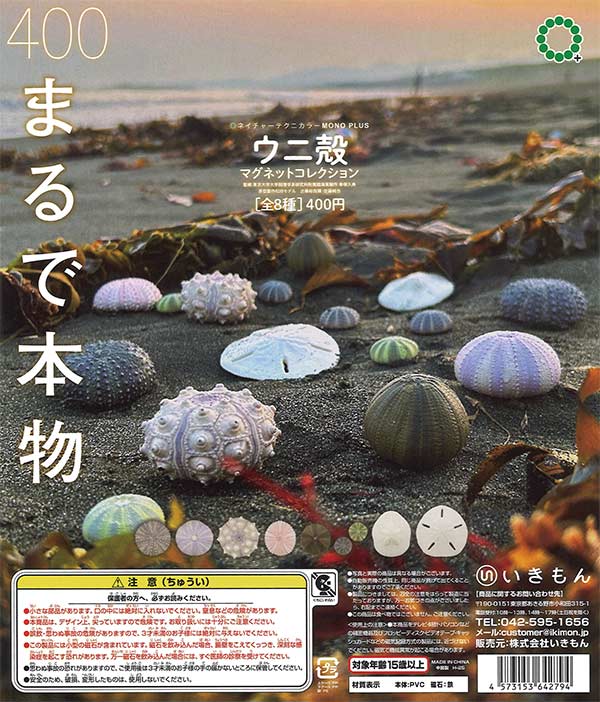 NTC MONO+ ウニ殻 マグネットコレクション（30個入り）【いきもん