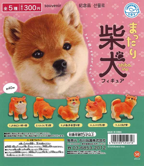 引き出物マスコット（40個入り）【Jﾄﾞﾘｰﾑ】 | ガチャガチャ