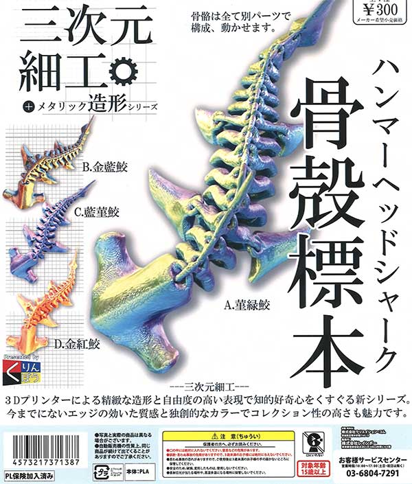 三次元細工 ハンマーヘッドシャーク骨殻標本（40個入り）【くりんぼう