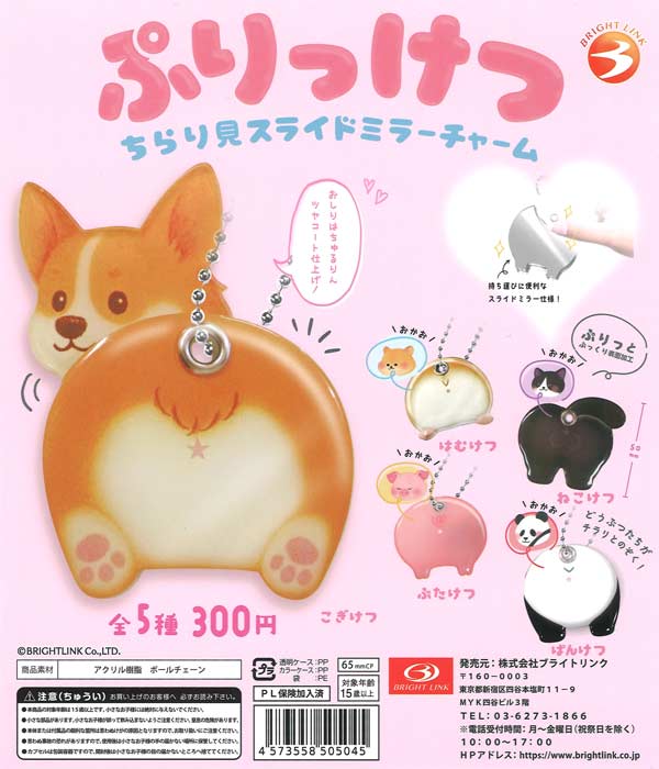 プリチャ-カ-ルベンチEX-V【BODYMAKER】引き取り限定 BODYMAKERプリ