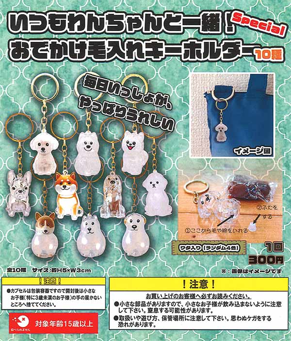 いつもわんちゃんと一緒！おでかけ毛入れキーホルダーSpecial（40個 