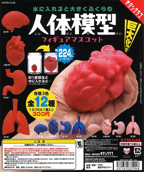 にょっきりどっきりマグネット（40個入り） | ガチャガチャ・カプセル