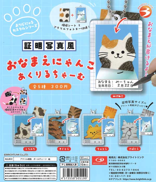 証明写真風おなまえにゃんこあくりるちゃーむ（40個入り）【ﾌﾞﾗｲﾄﾘﾝｸ