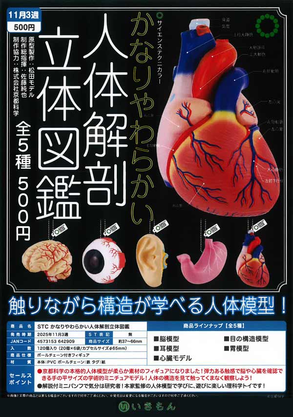 11月発売】【正規予約】STC かなりやわらかい人体解剖立体図鑑