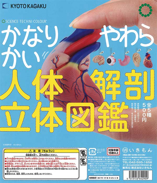 STC かなりやわらかい人体解剖立体図鑑（20個入り）【いきもん
