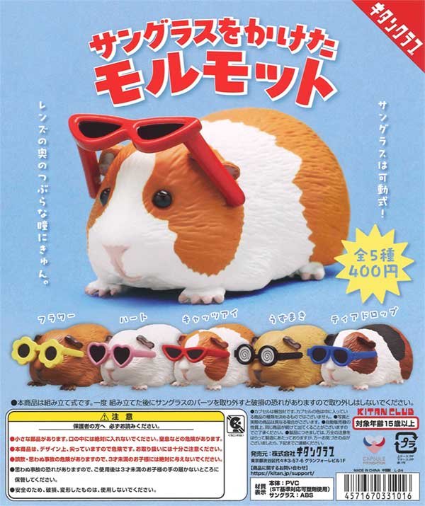 11月発売】【正規予約】《再販》サングラスをかけたモルモット