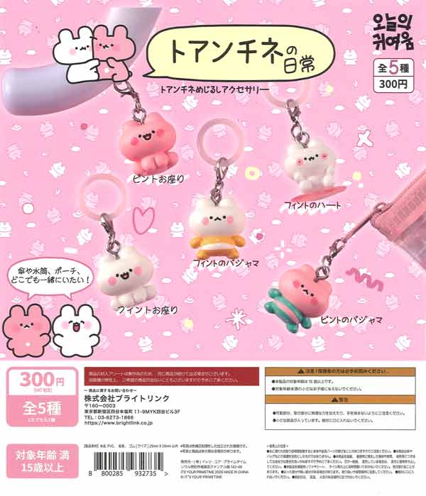 トアンチネの日常 トアンチネめじるしアクセサリー（40個入り）【ﾌﾞﾗｲﾄ