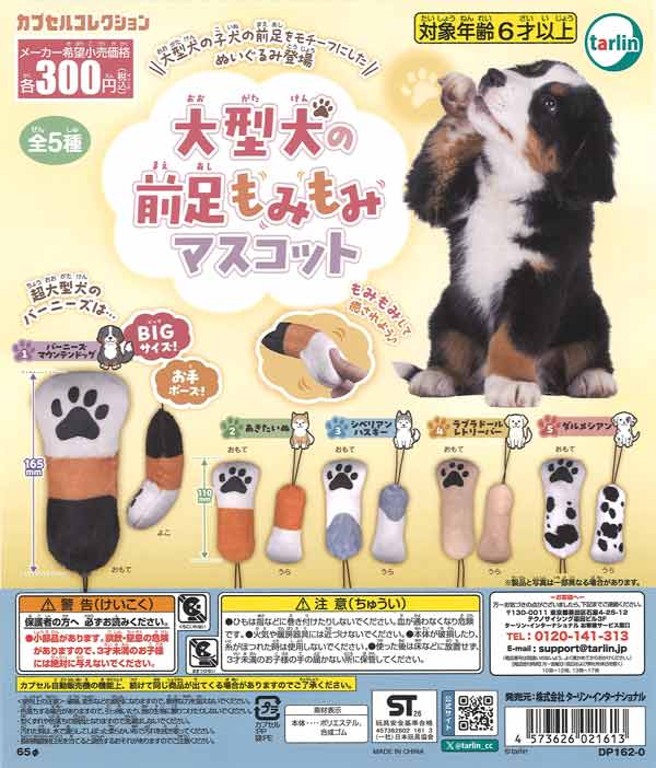 大型犬の前足もみもみマスコット（40個入り）【ﾀｰﾘﾝ】カプセルトイ