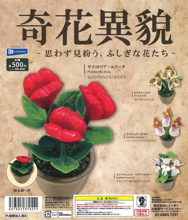 奇花異貌 -思わず見紛う、ふしぎな花たち-（20個入り）【ﾚｲﾝﾎﾞｰ