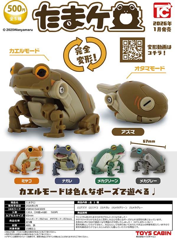 ガチャガチャ　カエル いきもの大図鑑アドバンス トノサマガエル｜ガシャポンオフィシャルサイト