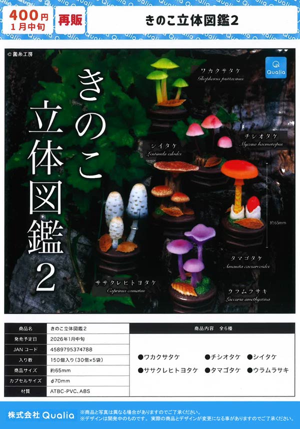 1月発売】【二次予約】《再販》きのこ立体図鑑2（30個入り）【Qualia