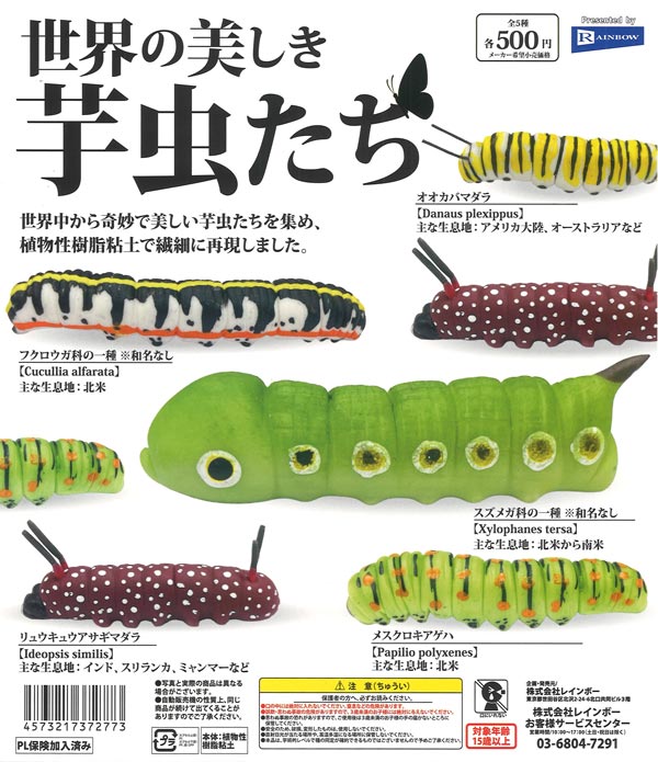 世界の美しき芋虫たち（20個入り）【ﾚｲﾝﾎﾞｰ】カプセルトイ