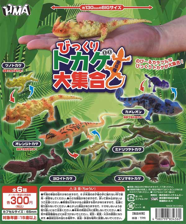 びっくりトカゲ大集合（40個入り）【HMA】カプセルトイ | ガチャガチャ