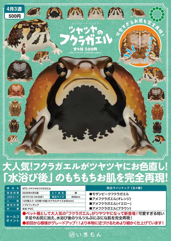 4月先行受注】【二次予約】NTC ツヤツヤのフクラガエル（20個入り