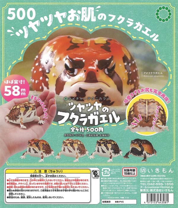 NTC ツヤツヤのフクラガエル（20個入り）【いきもん】カプセルトイ
