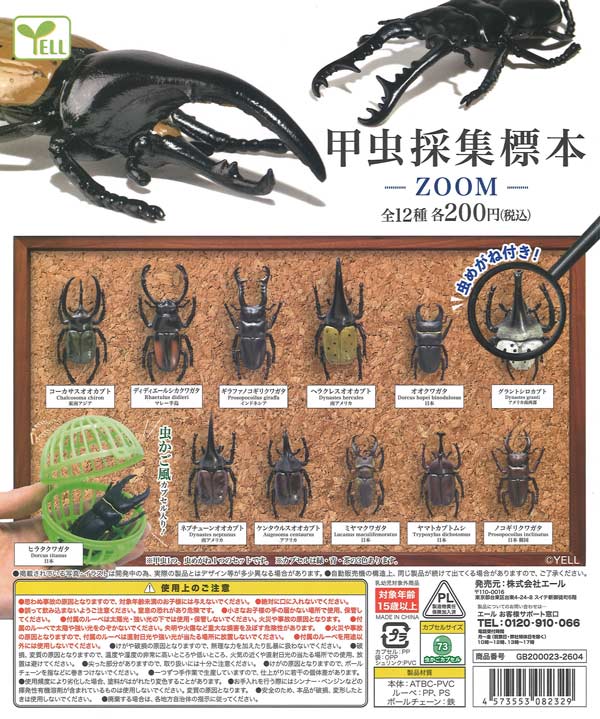 再販》甲虫採集標本～ZOOM～（50個入り）【ｴｰﾙ】カプセルトイ