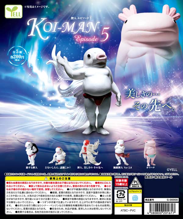 4月発売】【二次予約】鯉人Episode 5（50個入り）【ｴｰﾙ