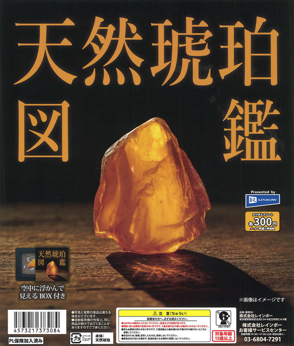 天然琥珀図鑑（40個入り）【ﾚｲﾝﾎﾞｰ】カプセルトイ | ガチャガチャ通販